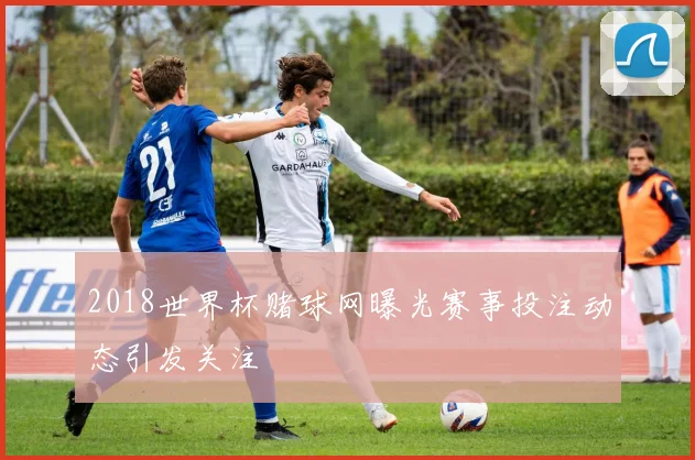 2018世界杯赌球网曝光赛事投注动态引发关注